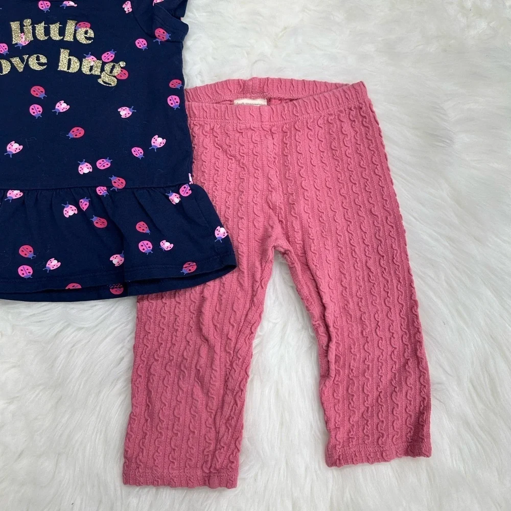 Baby Girl 18 Month matching outfit set